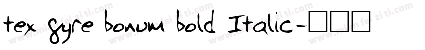 tex gyre bonum bold Italic字体转换